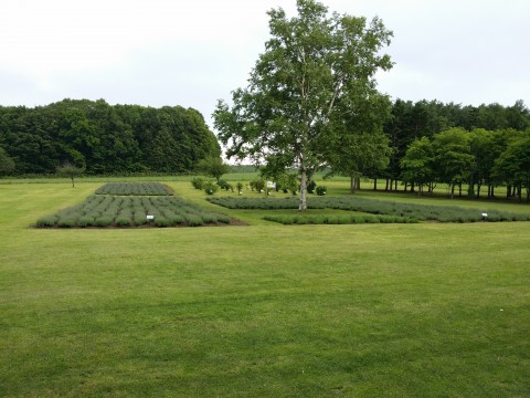 公園